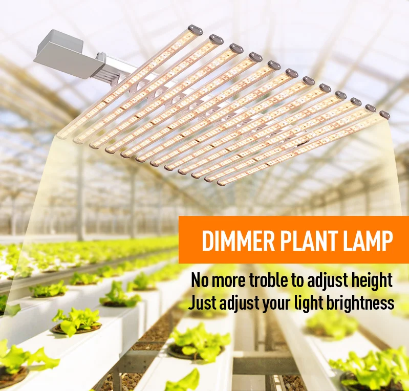 2021 Top selling Gavita 1700 pro led grow light high power plant vertical farming equipment delivery from