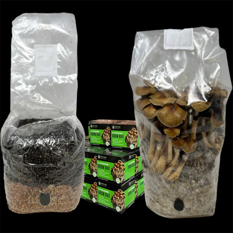 Plastic Bags Mushroom Cultivation High Temperature Resistance Mushroom Grow Bags With Filter
