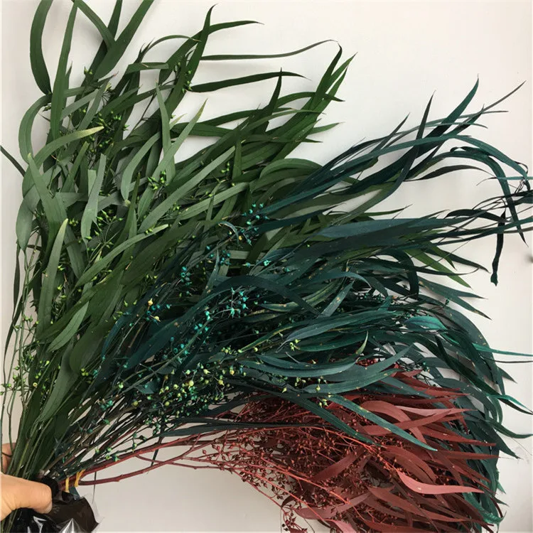 Amazon hot sell home decoration wholesale everlasting eucalyptus leaves preserved eucalyptus saligna seed