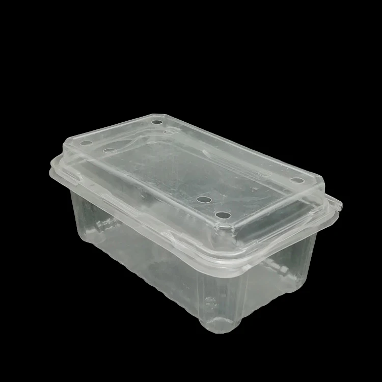 
ACCEPT CUSTOM 500 g Transparent Disposable Plastic Grape Fruit Cherry Tomato Punnet Container 
