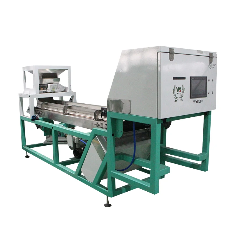 Belt Type Red Skin Garlic Color Sorter Machine For Sorting Unpeeled And Black Spots Garlic In Garlic Processing Line