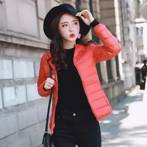 RedHK High Quality Wholesale Outdoor Light Warm Duck Feather Custom Logo Nylon Hooded Winter Bubble Puff Filled Down Puffer Coat