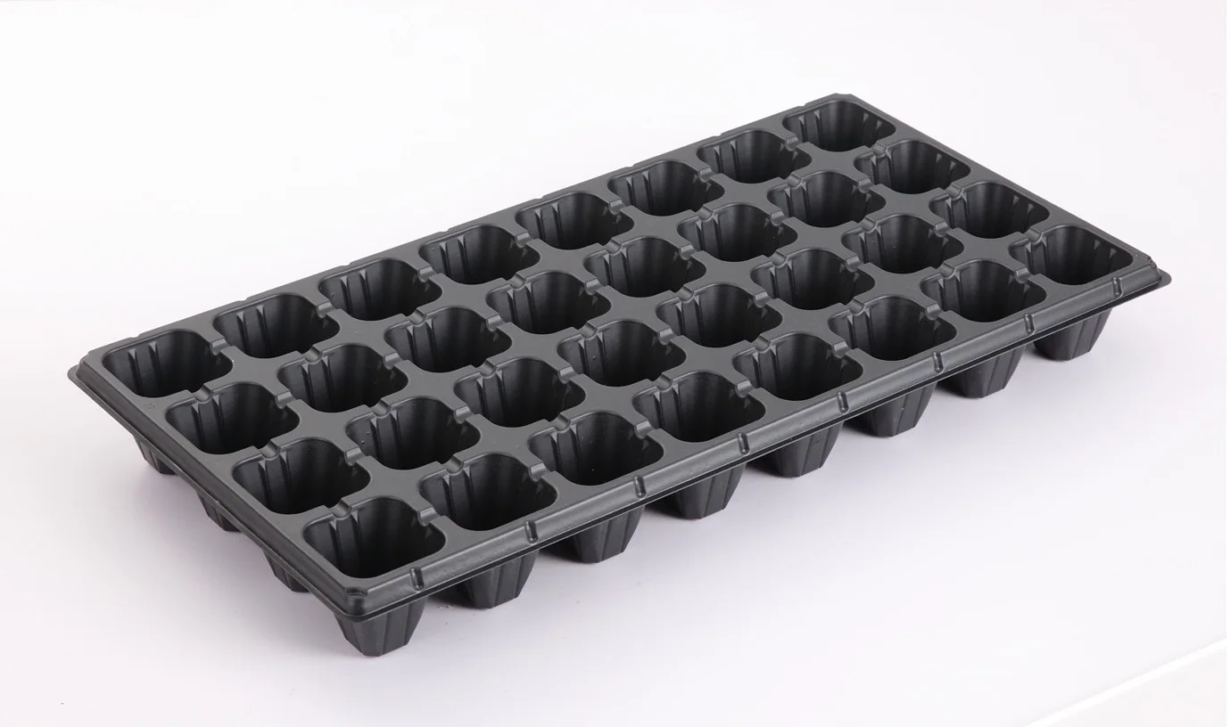 32 Cell Big Seeding Tray for Strawberry and Melons XQA32