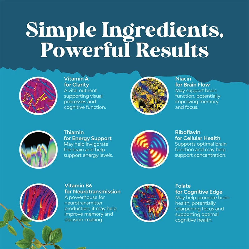 Nootropics Brain Support Supplement with Vitamins for Cognitive Enhancement - Mind and Memory Supplement for Brain Health