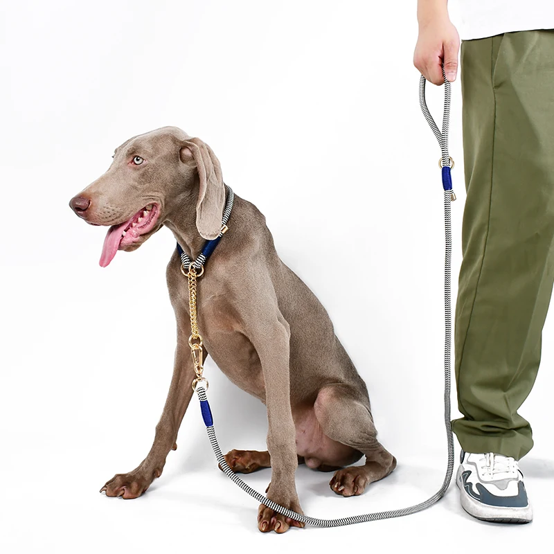 Loudik Wholesale Personalized Factory Handmade Premium P Chock Snake Pet Chains Accessories Braided Nylon Rope Dog Slip Collar