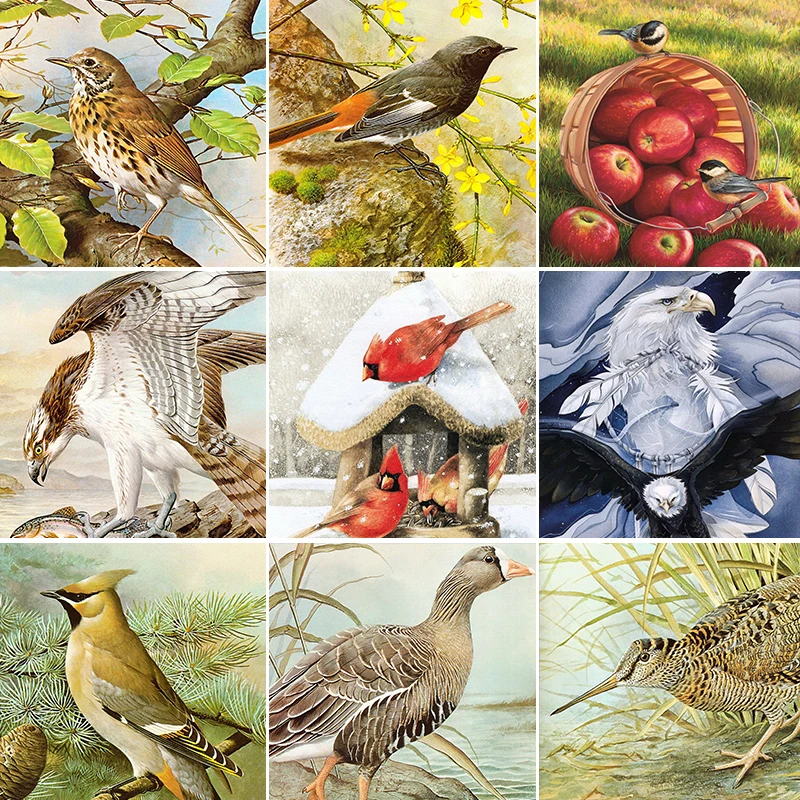 Handmade Crafts Diamond Painting DIY Full Drill Peacock Digital Painting by Numbers Private Gift Painted by Digital Art Pictures