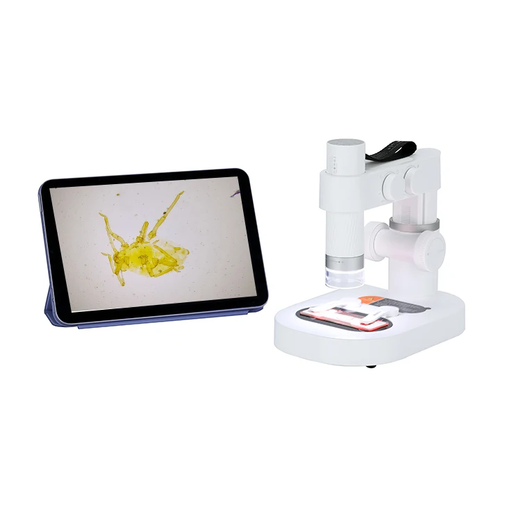 Professional Cheap price digital handheld toy portable mini child microscope for kids