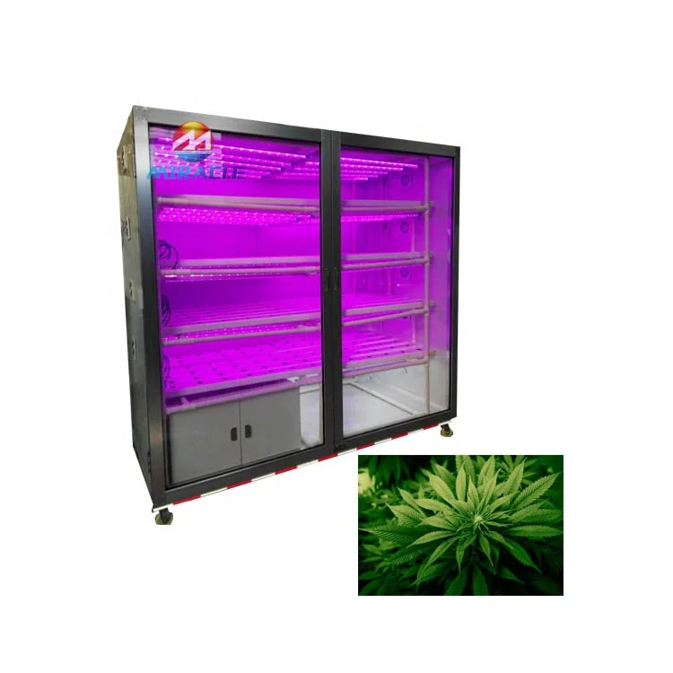 Made in China best price livestocks animal feed fresh grass fodder sprout hydroponic machine