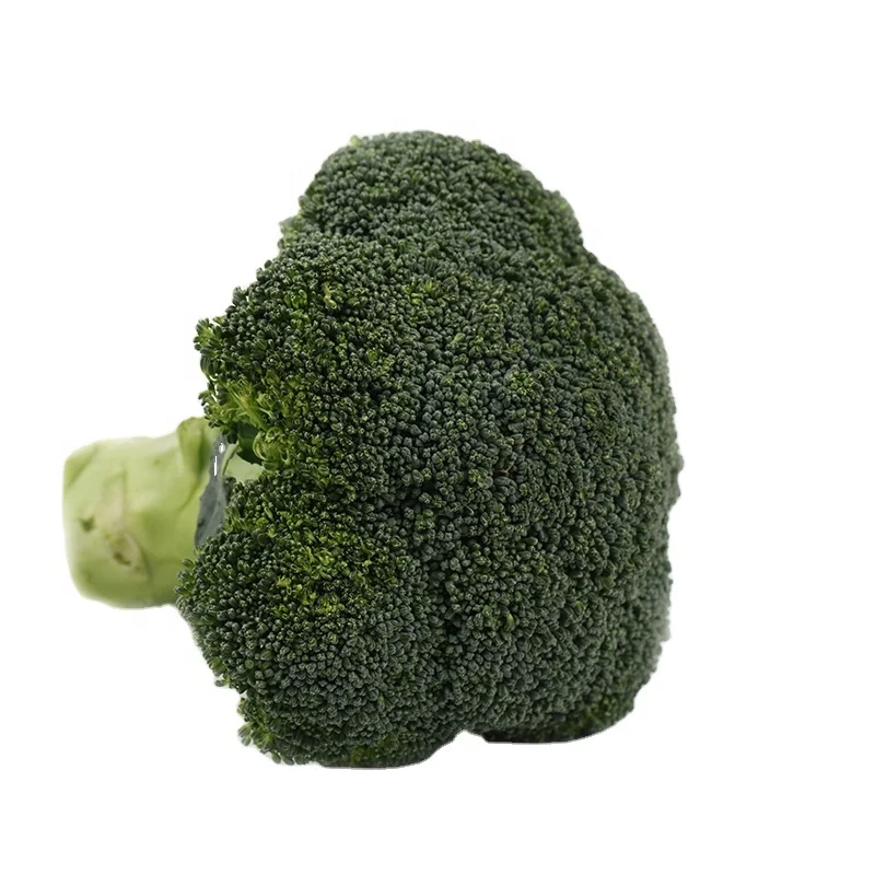 
Fresh Vegetables Top Quality Wholesale Fresh Brocoli In Bulk With HACCP Certificate 