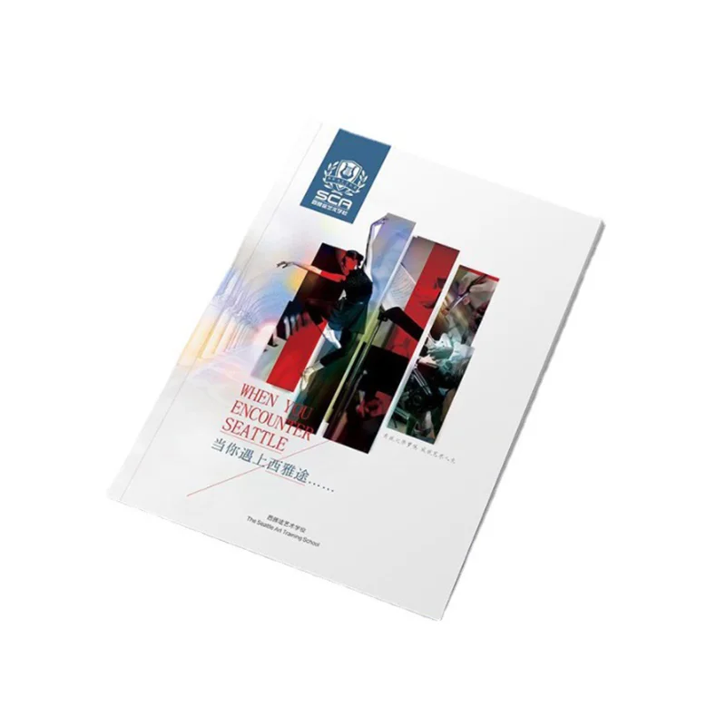 Custom CMYK bulk printing a5 size brochure instruction manual