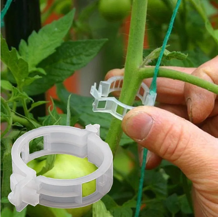 Free Sample Biodegradable  Tomato Plant Lock Clips For Fixed Tomato Vine