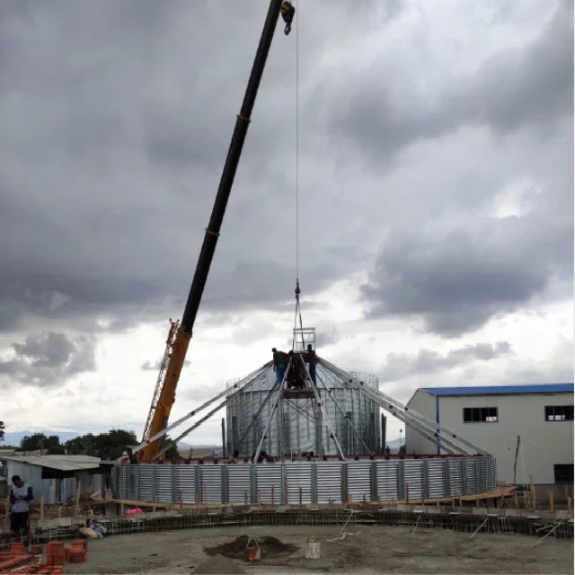 Stainless steel hopper bottom silos