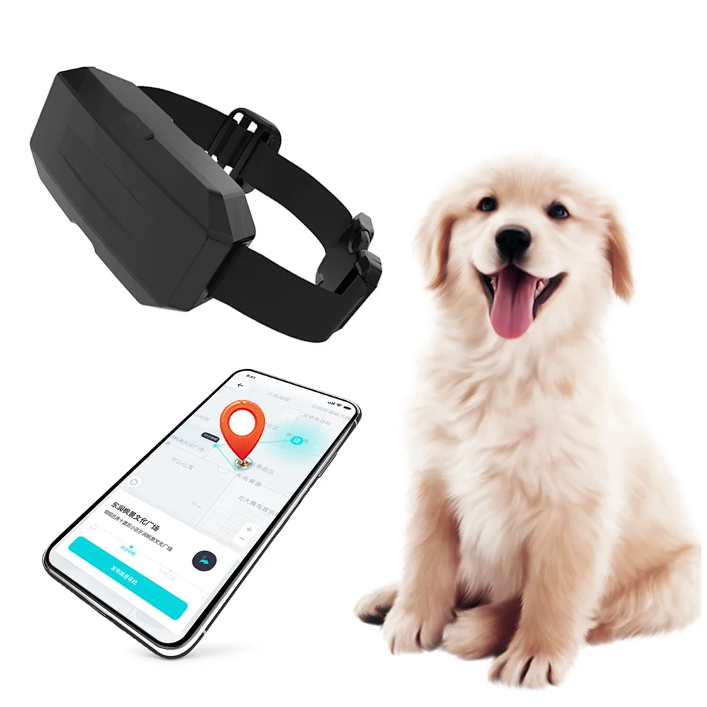 Huaxin 4G GPS Waterpoof 4g full net com Anti Theft Pet Smart Collar Gps Tracker GPS Pet Tracker With App for dog cat