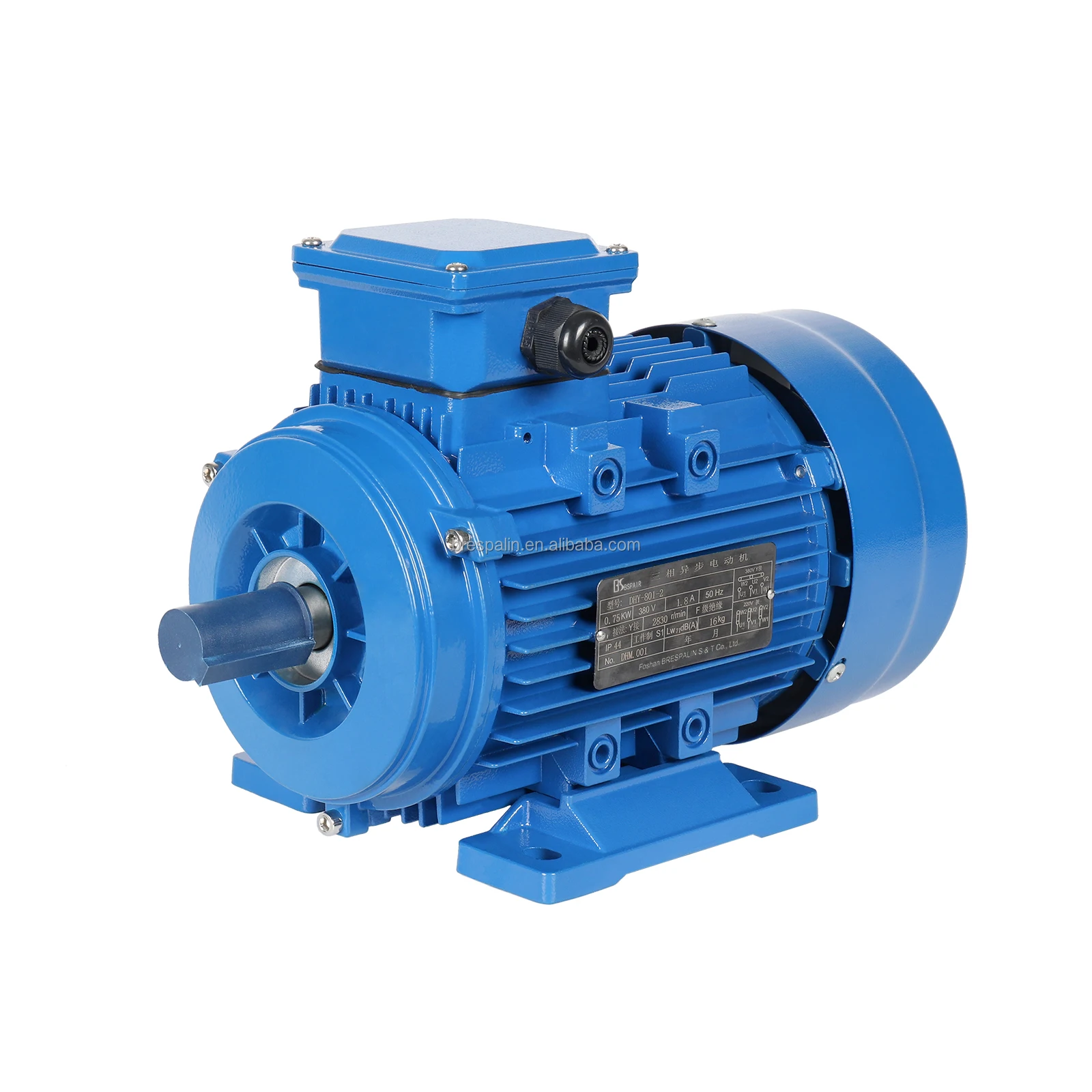 Cast Iron Totally Enclosed Three-Phase Induction Motor Induction AC Electric Motor IP44 IP55