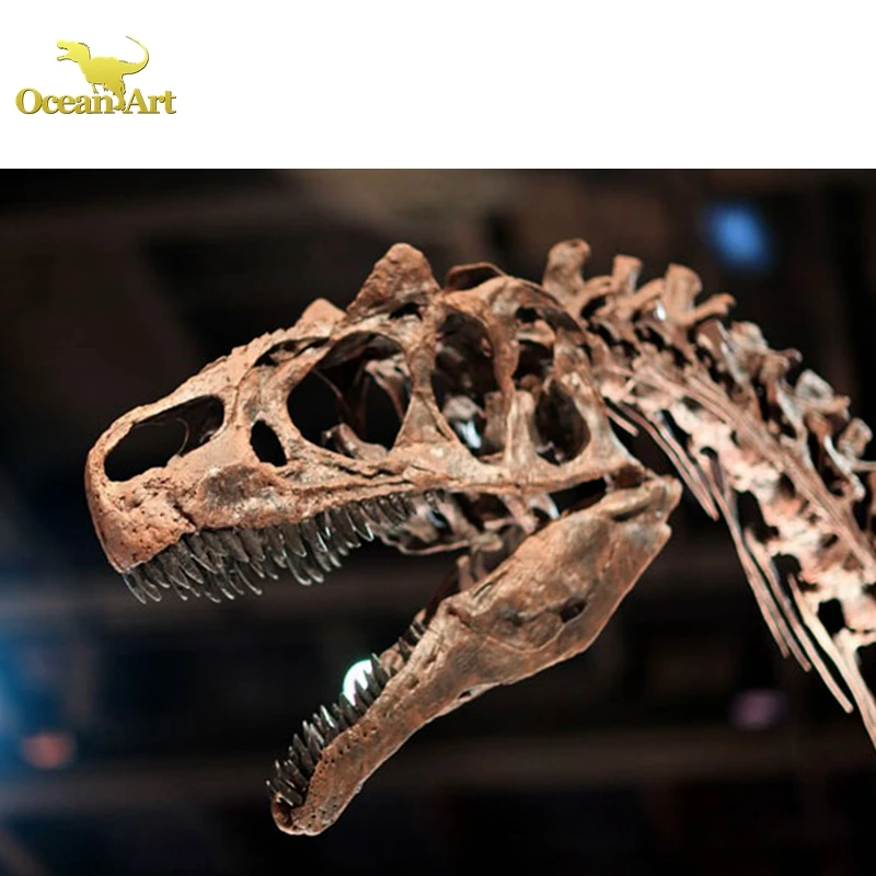 Museum Display Fiberglass Dinosaur Skeleton Replicas