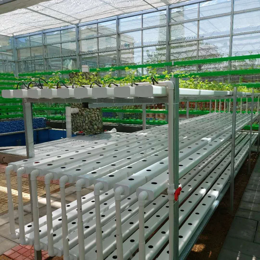 vertical hydroponics farming  NFT channels