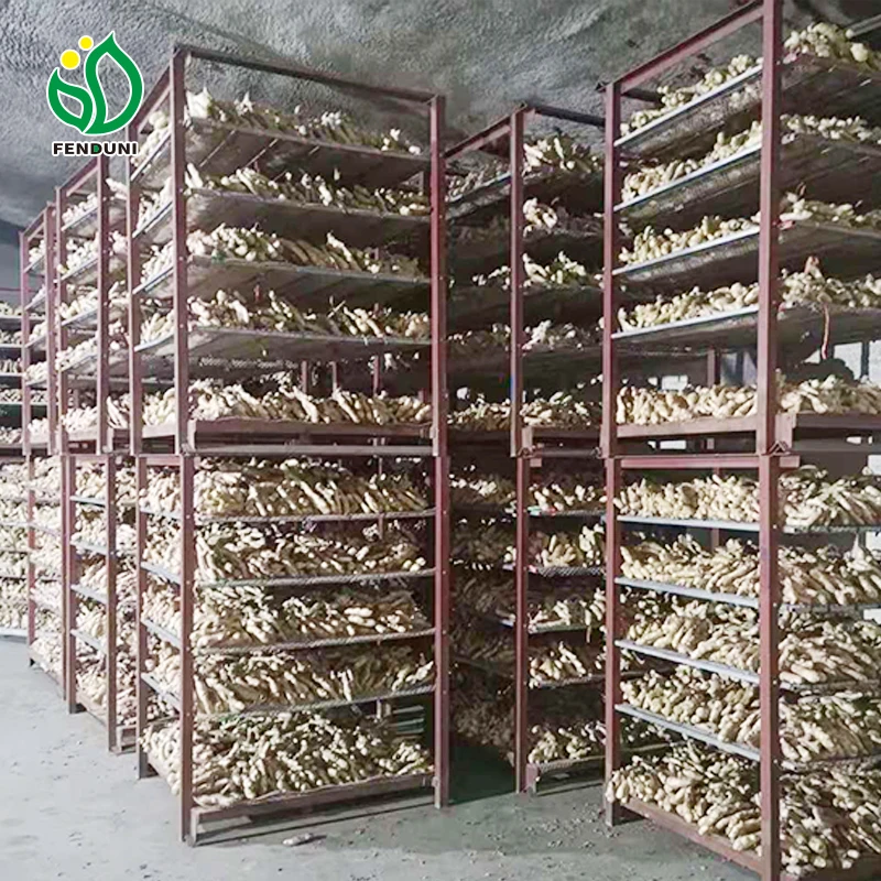 100% Natural Quality Fresh Ginger Dry Ginger in Bulk For Sale