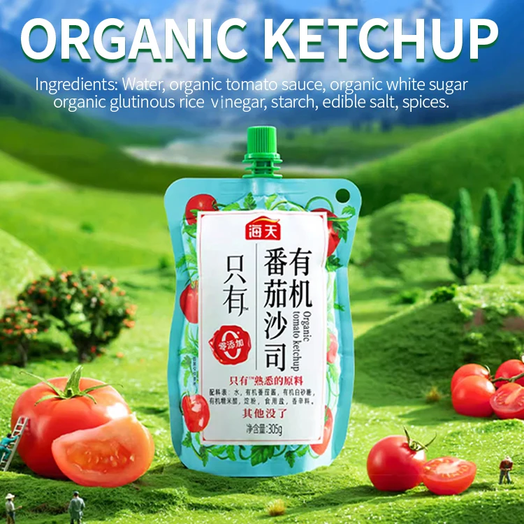305g Organic ketchup condiment BPA free squeeze bag tamato seasoning paste organic tomato ketchup sauce