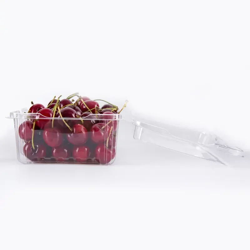 With Lid Disposable plastic bowl Box clear salad Trays Disposable Clear Plastic Clamshell Food Container
