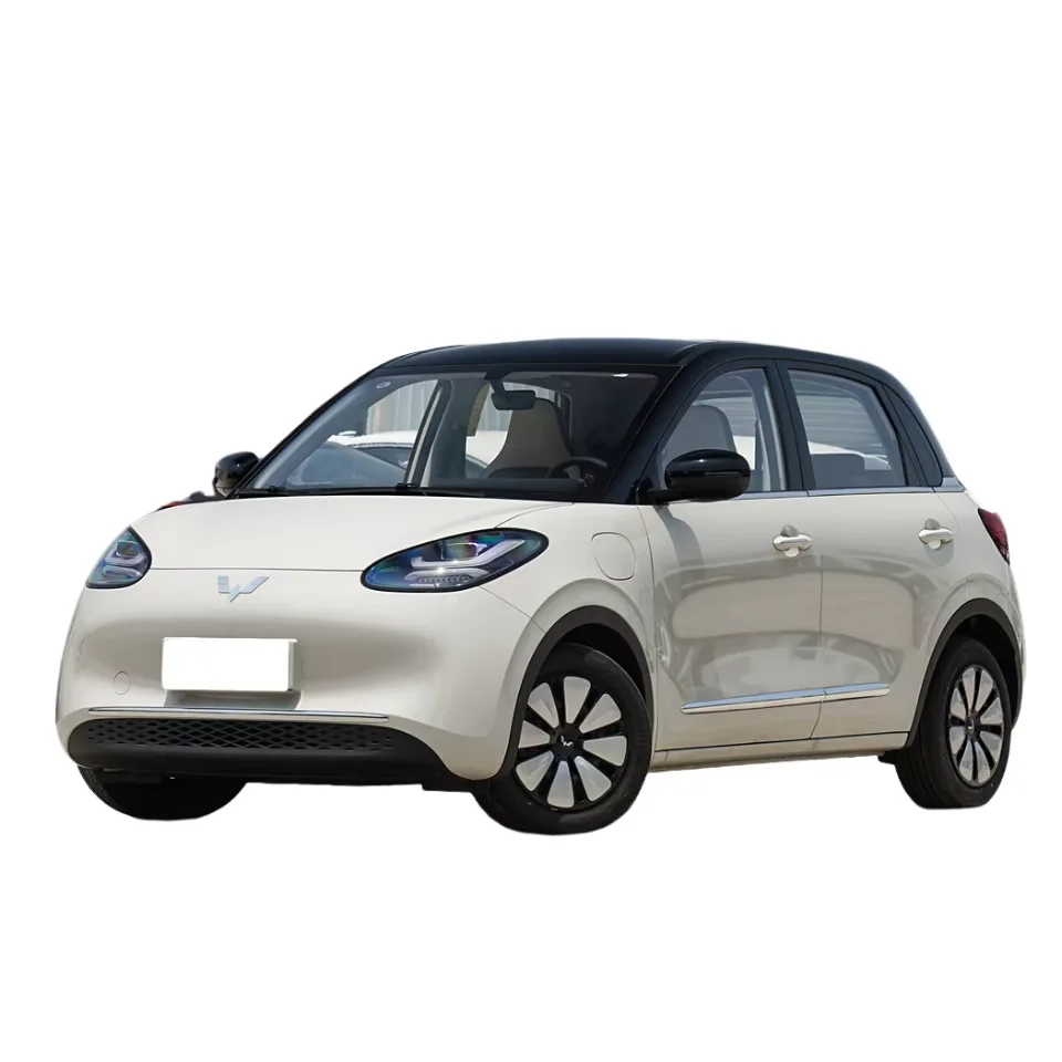 cheap electric car adult car ev small car wuling bingo ev 2024