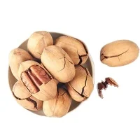 Raw Roasted Baked Salted Pecan Nuts with Shell Bags For Sale At Best Prices