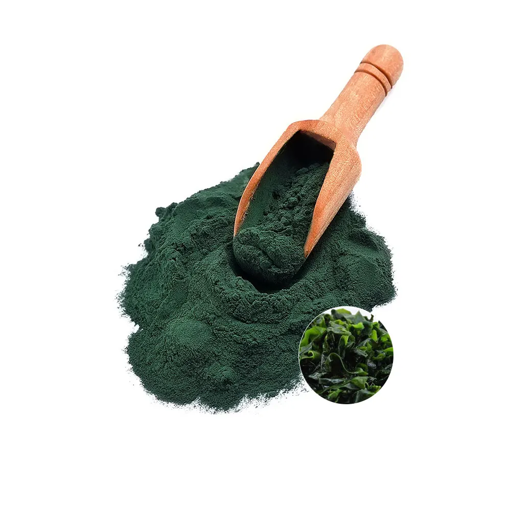 Pure Spirulina Powder Organic Controls Appetite Herbal Extract Organic Algae Spirulina Powder