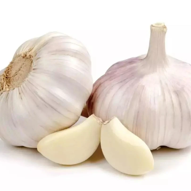 Chinese fresh pure white garlic Wholesale 6cm