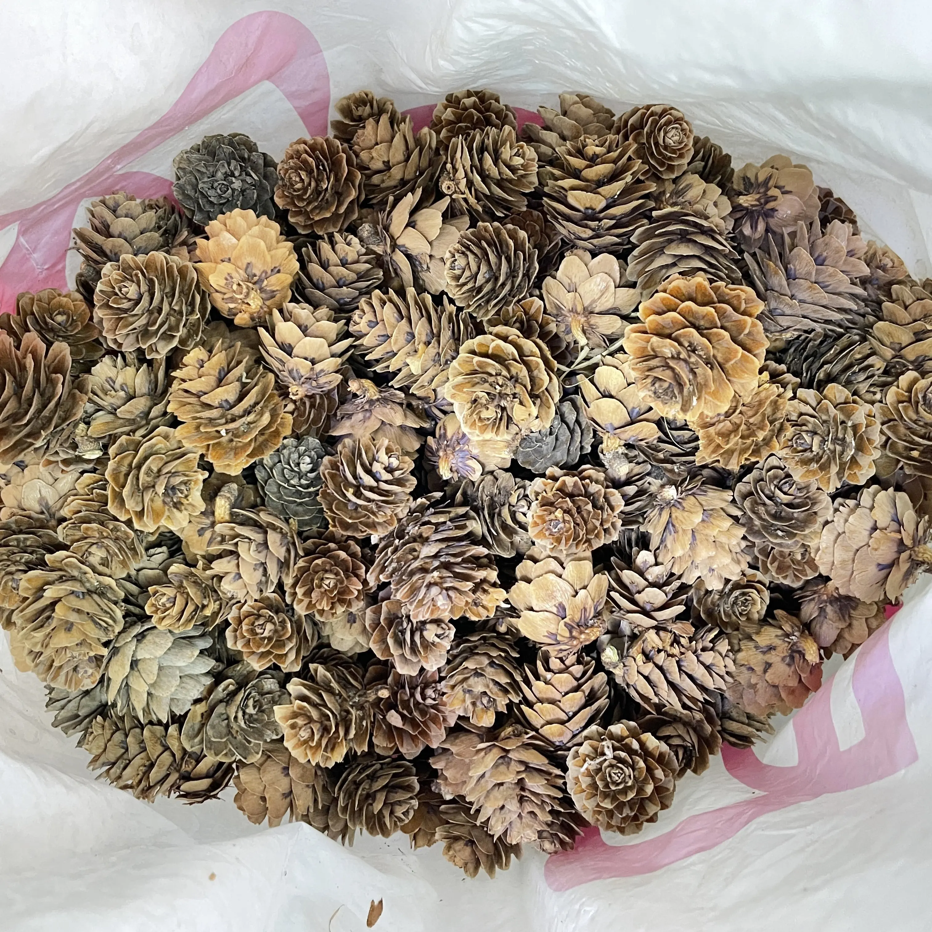 natural wood real pine cone christmas tree decoration hanging tree