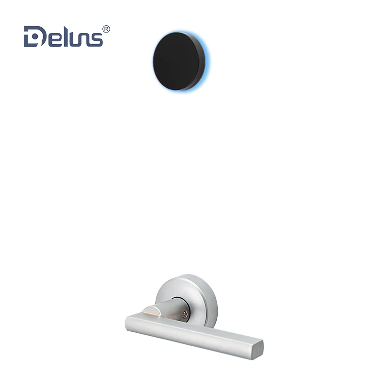 
Deluns offline and online wifi electric hotel lock smart security with special design 