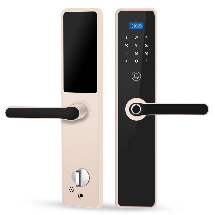 2023 New Style Cheap Electronic Biometric Fingerprint Built In Doorbell Tuya Wifi Door Lock With Api For Software