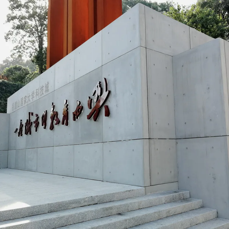 Заводская цена, высокопрочная бетонная цементная стеновая панель, современный стиль, облицовка стен для отеля и виллы