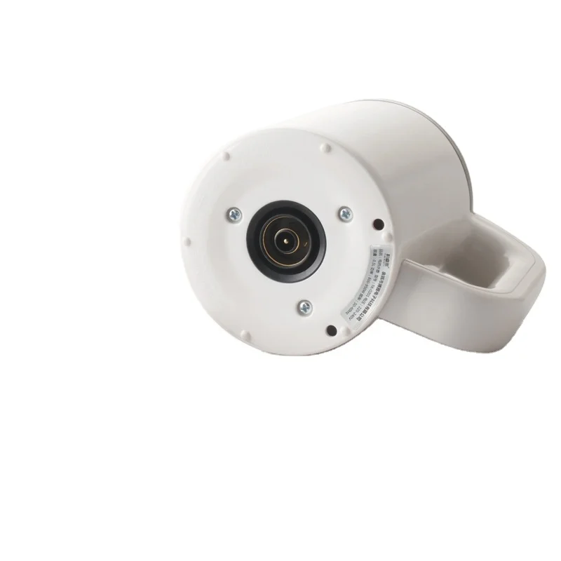 Dual Voltage Travel Water Heating Mini Electric Kettle Cup Heater Portable Stainless Steel Tea Pot Kettle 110V-220V