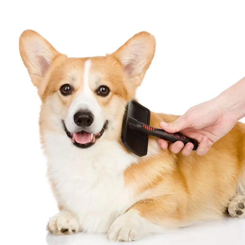 3 size soft massage stainless steel pins hair remove dog slicker brush