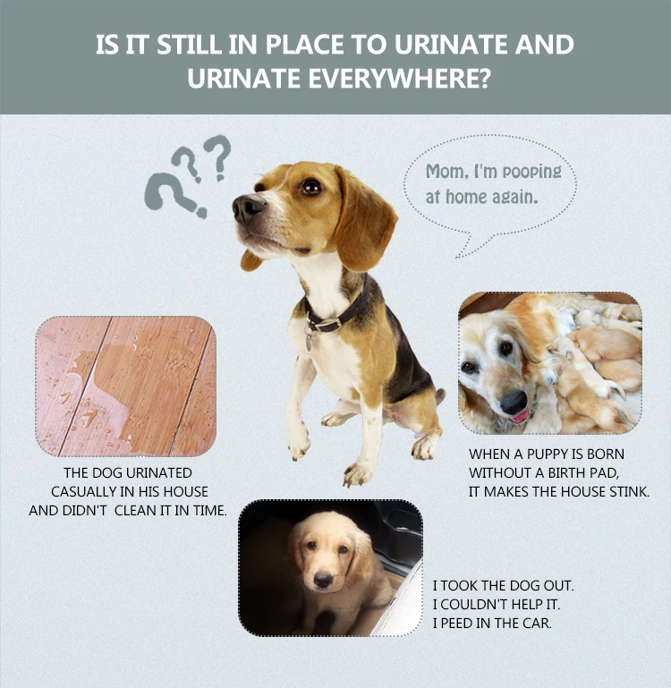 Wholesale waterproof disposable dog pee puppy training pet pad
