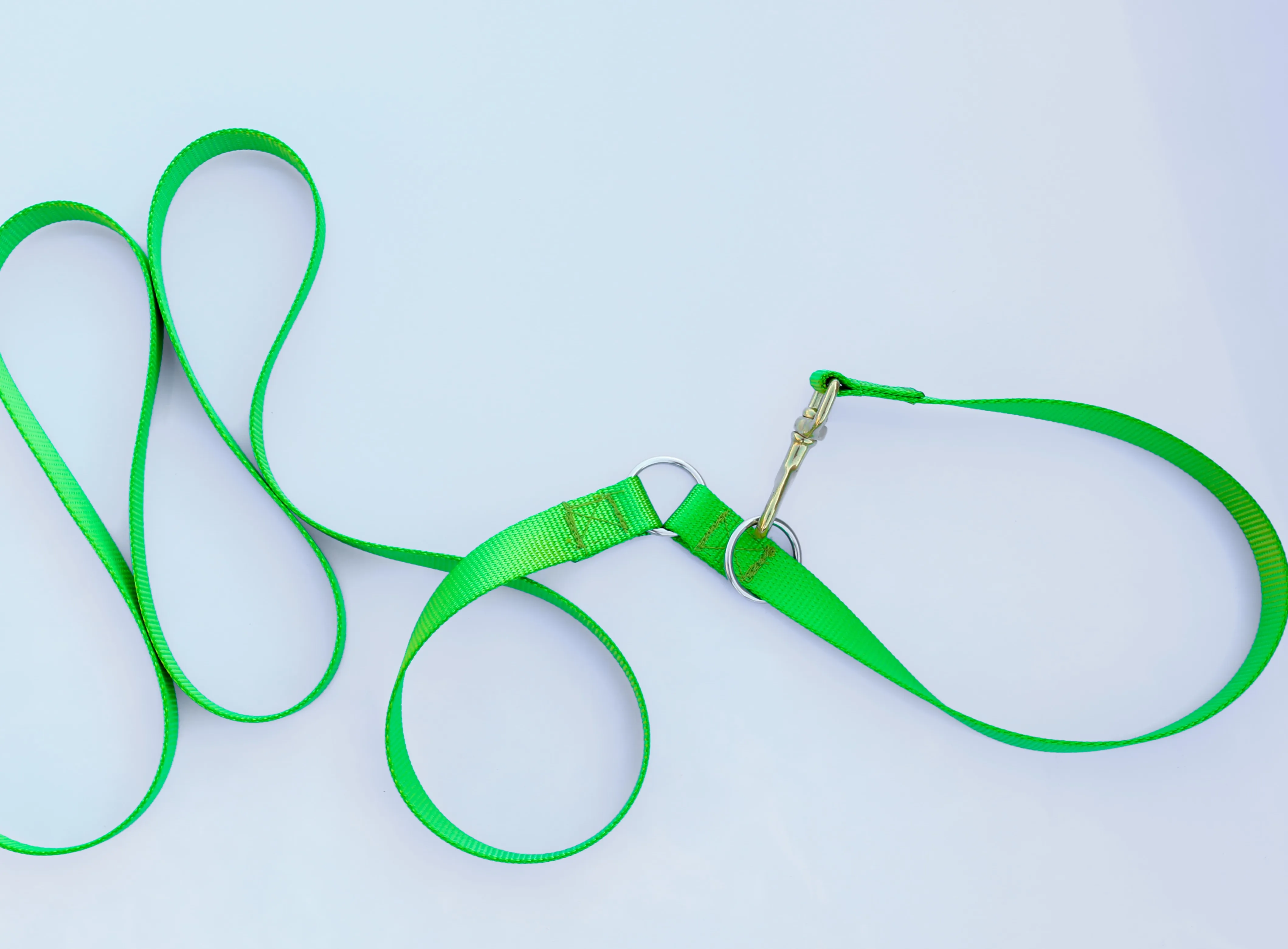 
wholesale green leash and collar in one for dog training 