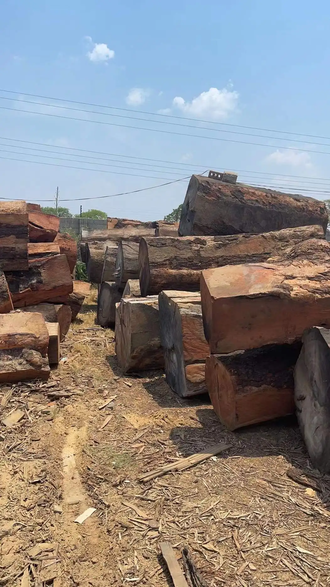 Большая древесина для продажи Mussibi/musиздавское круглое дерево из Замбии, высокое качество по низкой цене