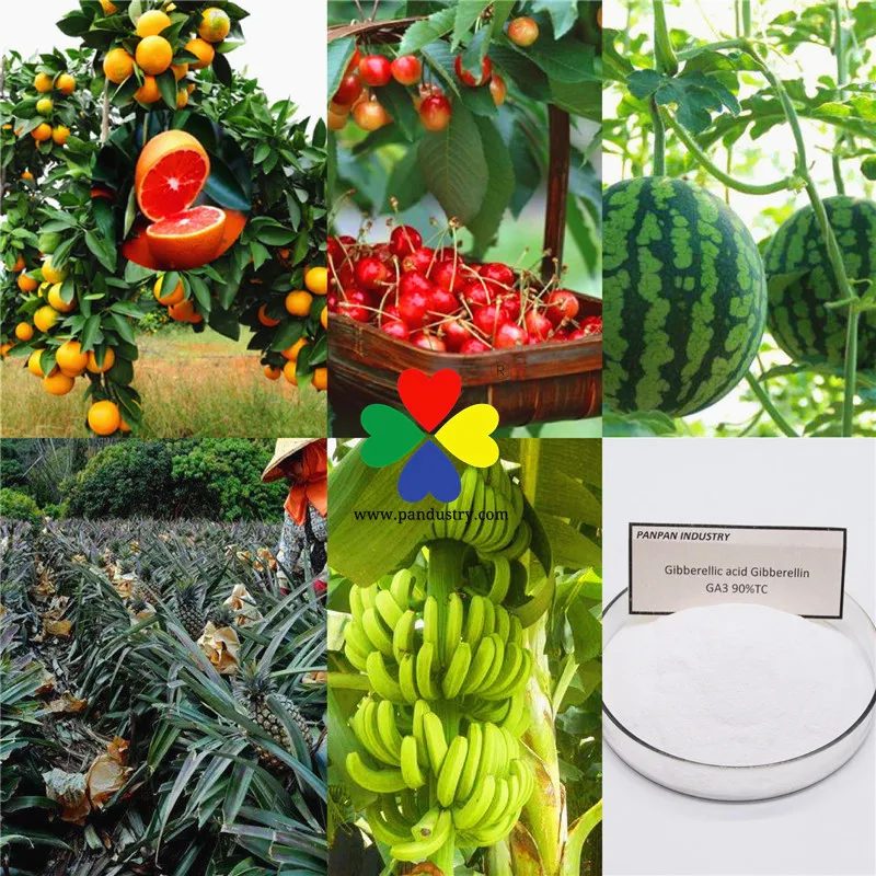 Plant growth regulator fertilizer ga3 gibberellin price
