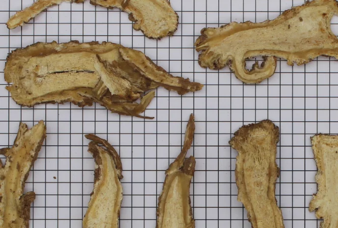 
The high quality of Chinese medicinal materials and the preferential price of Angelica sinensis 