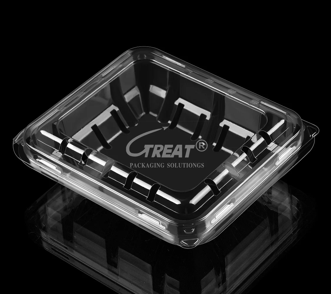 175 Gram  Food Grade Recyclable PET Plastic Punnets Blueberry Fruit Clamshell Container