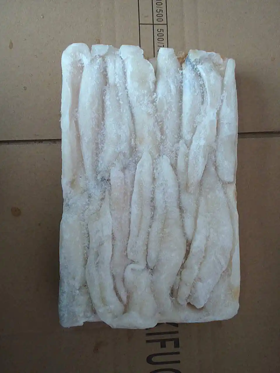 Fresh Frozen Peru squid guts