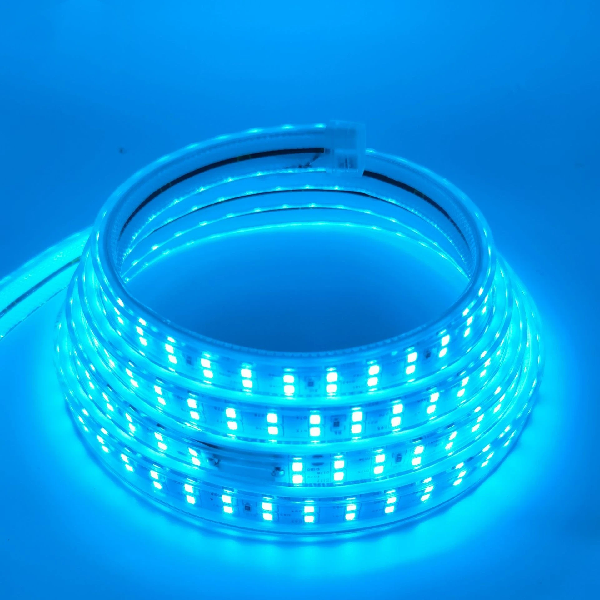 Beautiful LED Neon Rope light IP65 Flex Neon light 220V 110V 24V 12V