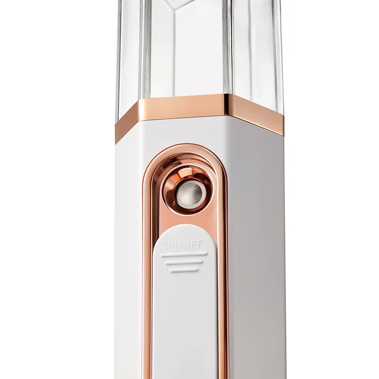 2022 New Portable 3 in 1 Skin Test Face Steam Machine Mini Facial Steamer Handheld Cold Face Sprayer