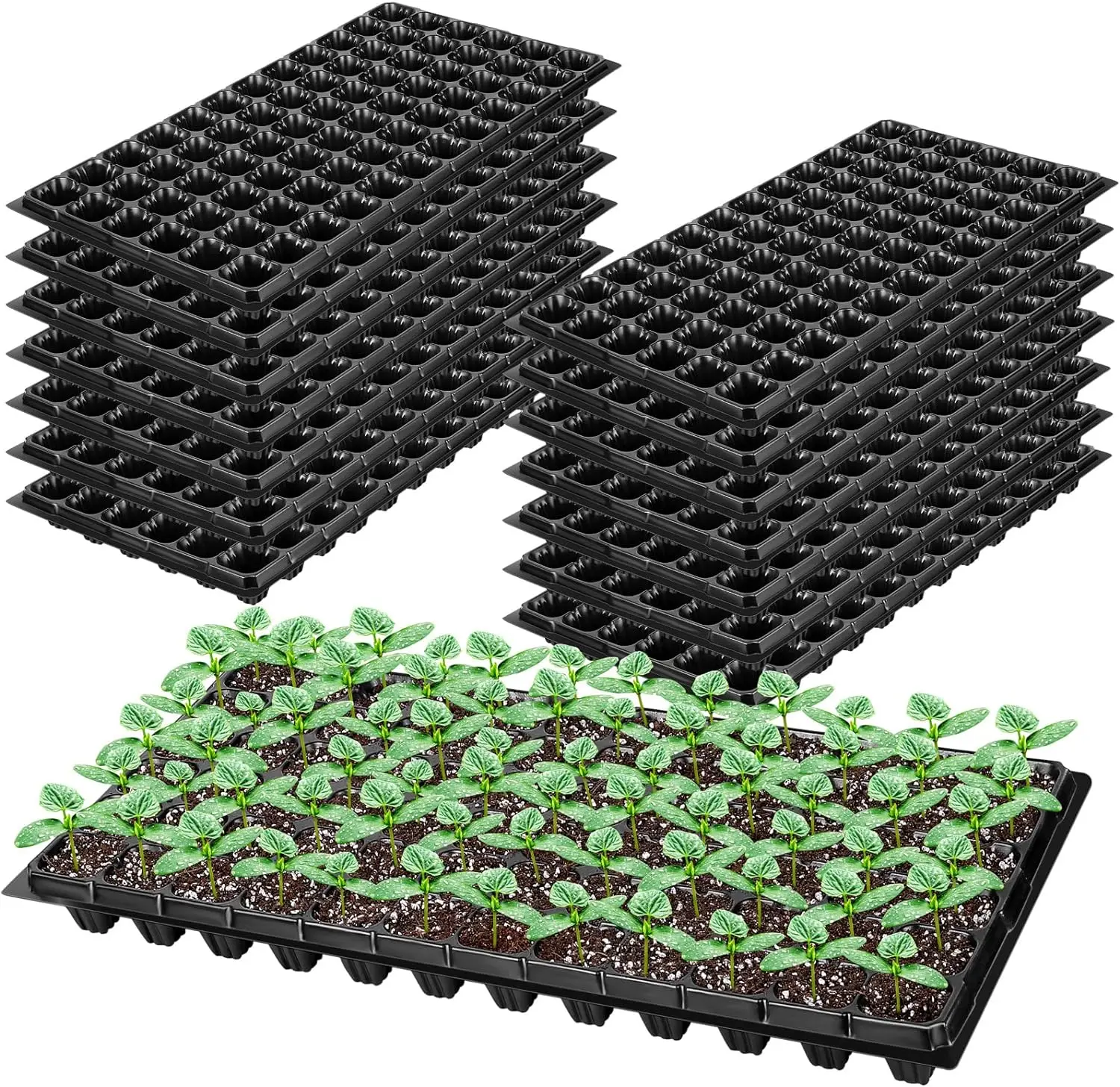 10 Pack Thickened 72 Cells Seedling Trays- BPA Free Plastic Gardening Germination Trays