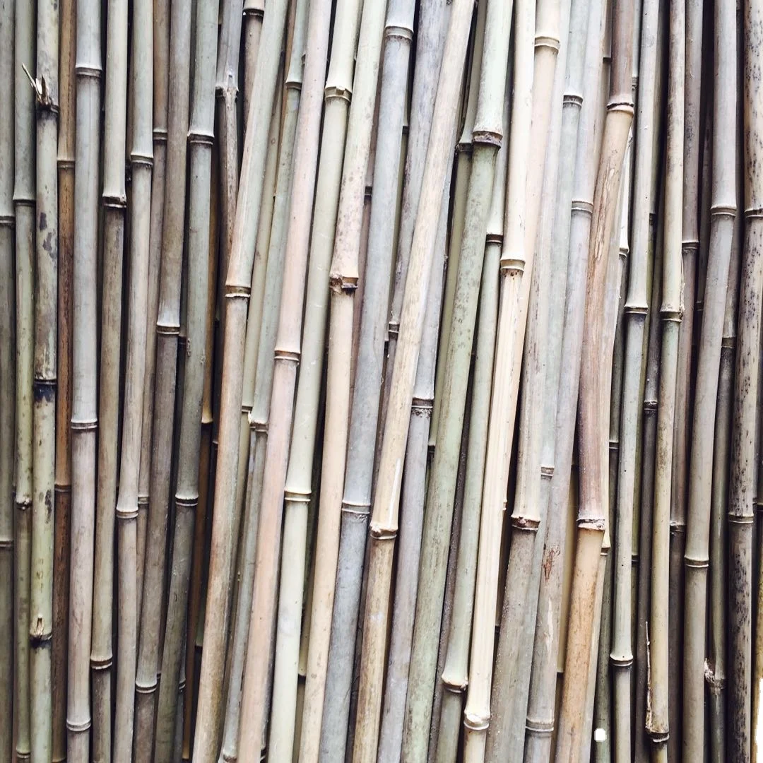 Good price bamboo poles for flower and tree planting with cheap price