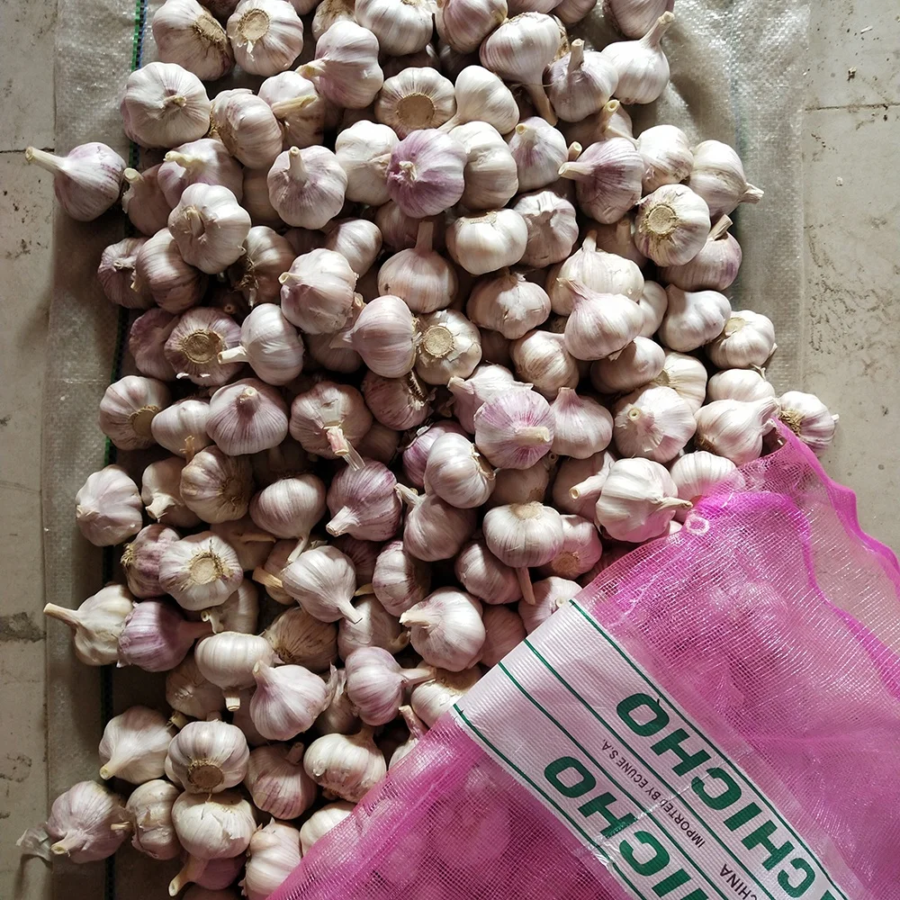 Factory price Chinese fresh pure white garlic