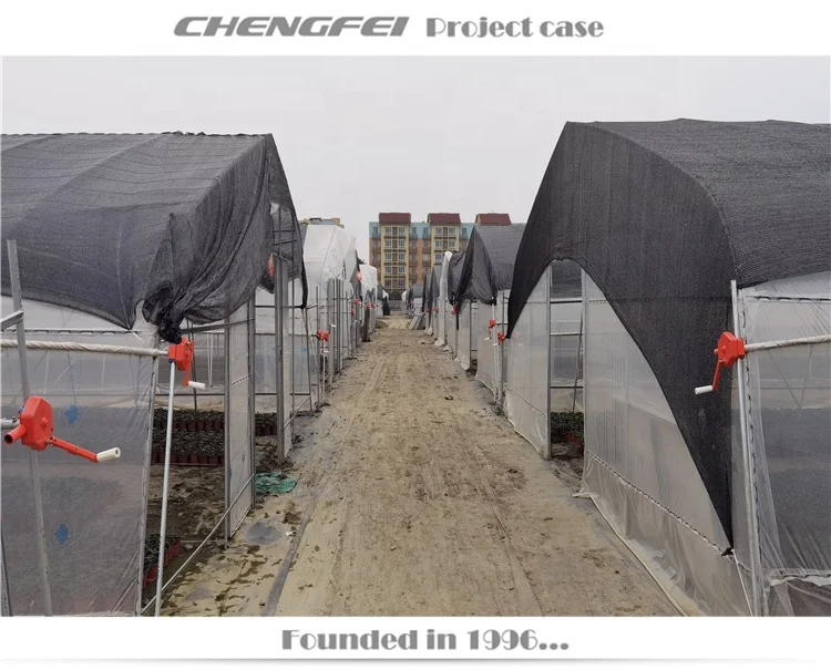 Fully automated light dep deprivation plastic film green houses agriculture commercial mushroom greenhouse tent for sale