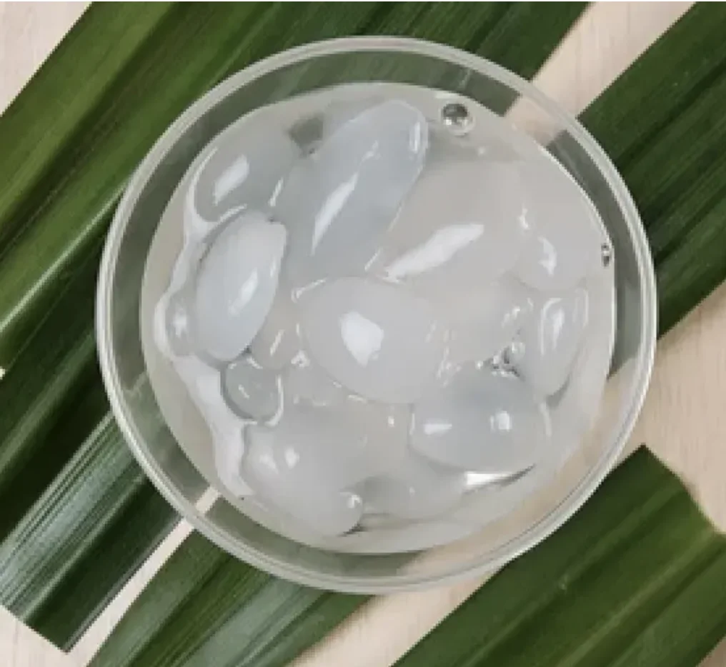 Palm Seed Sweet Natural Organic and Halal Fruit Product From Thailand White Color for storage of disposable fruit bowls and cups