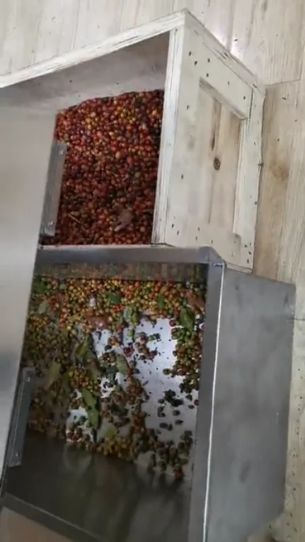 Greece Olive Color Sorter Machine Olive Seed Color Sorter Intelligent CCD Optical with Remote Assistance and CE Certification