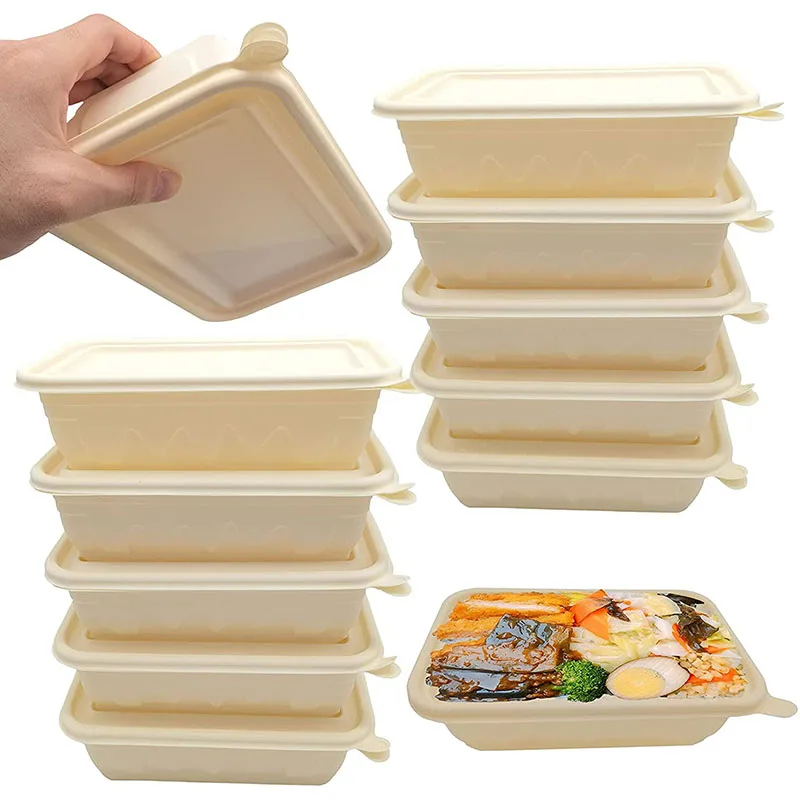 Wholesale Disposable Packaging Food Container Compostable 3 Compartment Lunch Box for Biodegradable Disposable Tableware