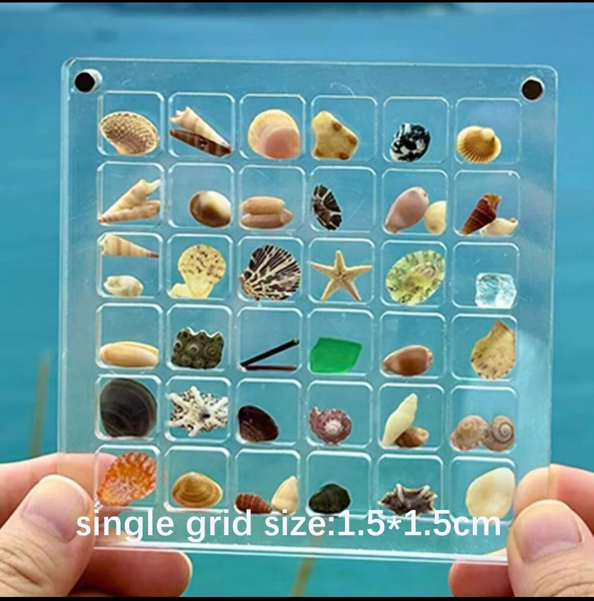 32&64&100 Grids Magnetic Seashell Display Storage Box Diamond Gemstone Beads Organizer Acrylic Transparent Jewelry Collector